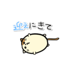 タマにゃん（個別スタンプ：24）