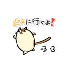 タマにゃん（個別スタンプ：25）
