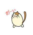 タマにゃん（個別スタンプ：26）