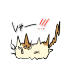 タマにゃん（個別スタンプ：28）