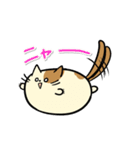 タマにゃん（個別スタンプ：29）