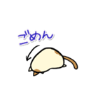 タマにゃん（個別スタンプ：32）