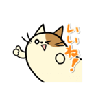 タマにゃん（個別スタンプ：34）