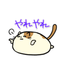 タマにゃん（個別スタンプ：37）