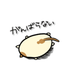 タマにゃん（個別スタンプ：39）