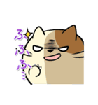 タマにゃん（個別スタンプ：40）