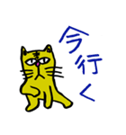 イラッとする猫「猫山田」（個別スタンプ：24）