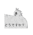クールなトリたち、そしてネコ（個別スタンプ：6）