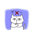 とらねこのとらお（個別スタンプ：16）