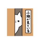 全国の【小畑】さんのためのスタンプ（個別スタンプ：34）