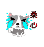 Sweet baby (border collie)（個別スタンプ：7）