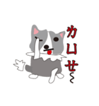 Sweet baby (border collie)（個別スタンプ：9）