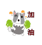 Sweet baby (border collie)（個別スタンプ：10）