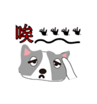 Sweet baby (border collie)（個別スタンプ：12）