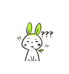 Pomi ＆ Moro（個別スタンプ：31）
