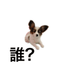 KUKUNA feat. RAMUNE（個別スタンプ：4）