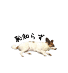 KUKUNA feat. RAMUNE（個別スタンプ：6）