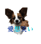 KUKUNA feat. RAMUNE（個別スタンプ：11）