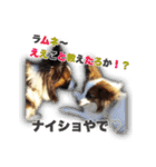KUKUNA feat. RAMUNE（個別スタンプ：13）