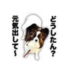 KUKUNA feat. RAMUNE（個別スタンプ：19）