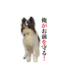 KUKUNA feat. RAMUNE（個別スタンプ：20）