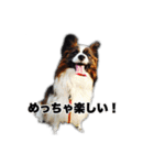 KUKUNA feat. RAMUNE（個別スタンプ：27）