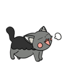 Cat Kichiro（個別スタンプ：16）