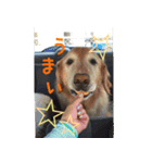 なんでもない日もヒックスと♪（個別スタンプ：1）