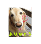 なんでもない日もヒックスと♪（個別スタンプ：2）
