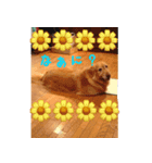 なんでもない日もヒックスと♪（個別スタンプ：4）