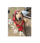 なんでもない日もヒックスと♪（個別スタンプ：6）