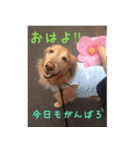 なんでもない日もヒックスと♪（個別スタンプ：7）