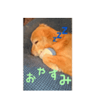 なんでもない日もヒックスと♪（個別スタンプ：8）