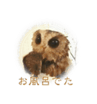日常ぱる君（ふくろう）（個別スタンプ：20）