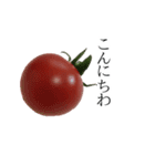 トマトの写真スタンプ（個別スタンプ：2）