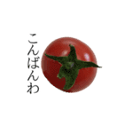 トマトの写真スタンプ（個別スタンプ：3）
