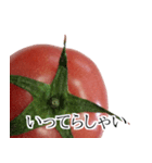 トマトの写真スタンプ（個別スタンプ：6）