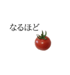 トマトの写真スタンプ（個別スタンプ：15）