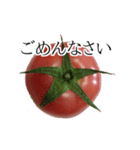トマトの写真スタンプ（個別スタンプ：17）