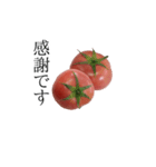 トマトの写真スタンプ（個別スタンプ：21）