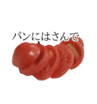 トマトの写真スタンプ（個別スタンプ：31）