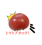トマトの写真スタンプ（個別スタンプ：32）