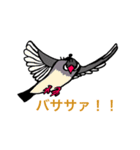 文鳥と小さくなった飼い主（個別スタンプ：12）