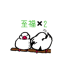文鳥と小さくなった飼い主（個別スタンプ：13）