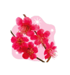 バラ、梅、桜、菜の花、たんぽぽの写真・改（個別スタンプ：31）