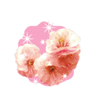 バラ、梅、桜、菜の花、たんぽぽの写真・改（個別スタンプ：34）
