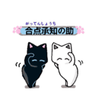 猫と肉球4（個別スタンプ：13）