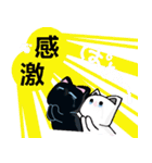 猫と肉球4（個別スタンプ：34）