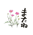 親しみのある花（個別スタンプ：11）