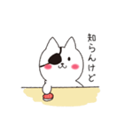 ねこぱっち5（個別スタンプ：1）
